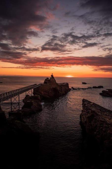 Magnifique T3 - Grande Plage Biarritz Exteriér fotografie