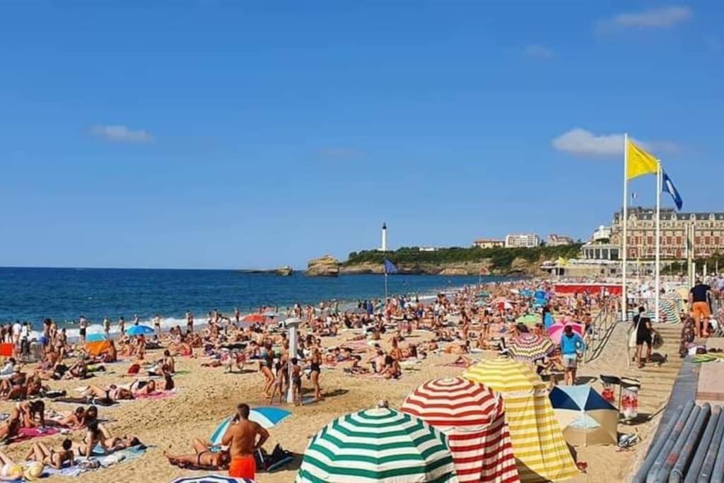 Magnifique T3 - Grande Plage Biarritz Exteriér fotografie